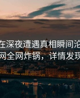 神秘人在深夜遭遇真相瞬间沦陷，91网全网炸锅，详情发现