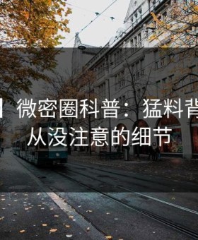 【速报】微密圈科普：猛料背后7个你从没注意的细节