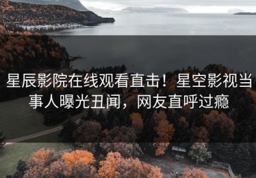 星辰影院在线观看直击！星空影视当事人曝光丑闻，网友直呼过瘾