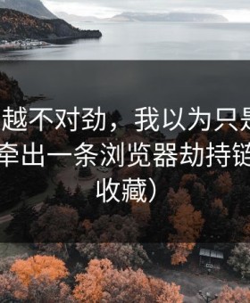 我越看越不对劲，我以为只是八卦，没想到牵出一条浏览器劫持链（建议收藏）