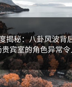 91网深度揭秘：八卦风波背后，明星在机场贵宾室的角色异常令人意外