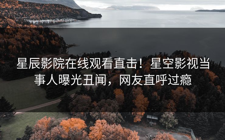 星辰影院在线观看直击！星空影视当事人曝光丑闻，网友直呼过瘾